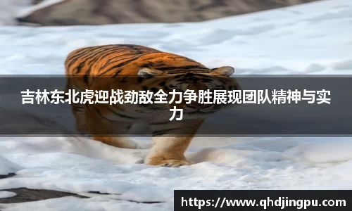 吉林东北虎迎战劲敌全力争胜展现团队精神与实力